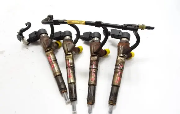 Nissan Juke I F15 Fuel injector H8200704191 166008052R
