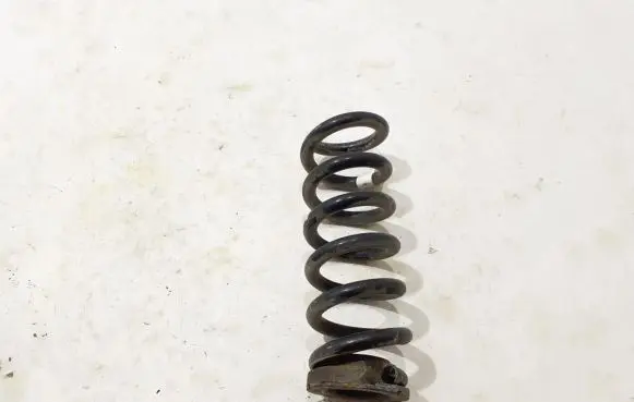 Ford Mach-E I Rear coil spring LJ9C-5560-ANF