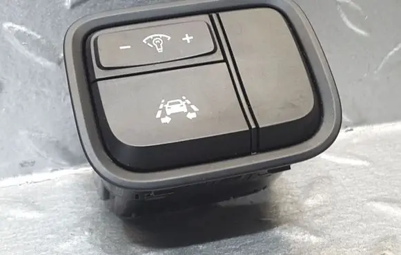 Panel lighting control switch