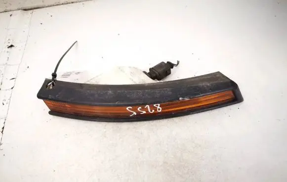 Volkswagen PASSAT B6 Front indicator light 3c0953042c