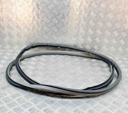 Nissan Leaf I (ZE0) Rubber seal front door (on door) 