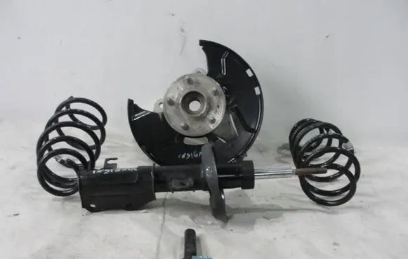 Opel Insignia A Rear shock absorber with coil spring 