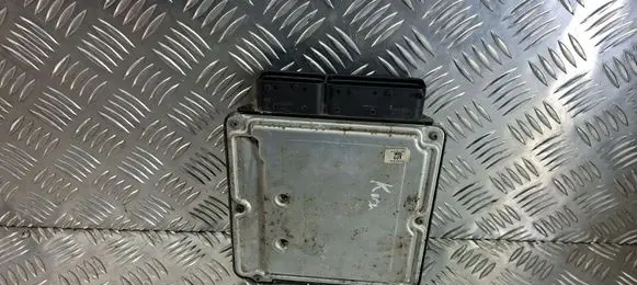 KIA Sorento Engine control unit/module 391012F020