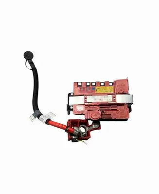 BMW X6 E71 Positive wiring loom V4917895901