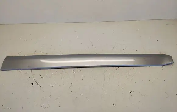 Front door trim (molding)