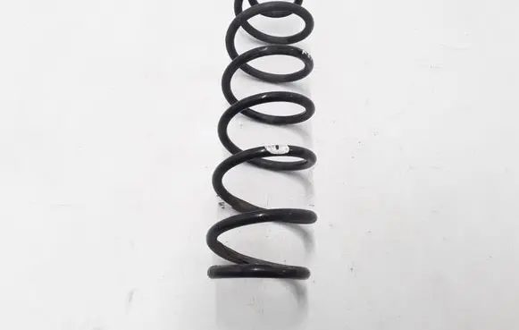 Rear coil spring