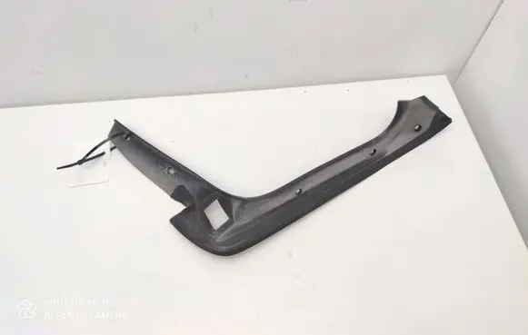 Rear/tail light trim molding