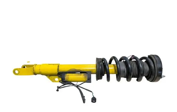Dodge Challenger Front shock absorber with coil spring 68531069AB P68531069AB 68391331AB