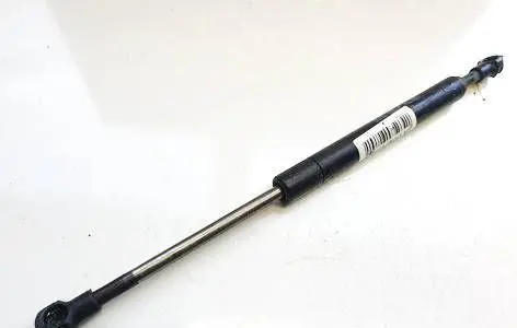 Tailgate/trunk strut/damper
