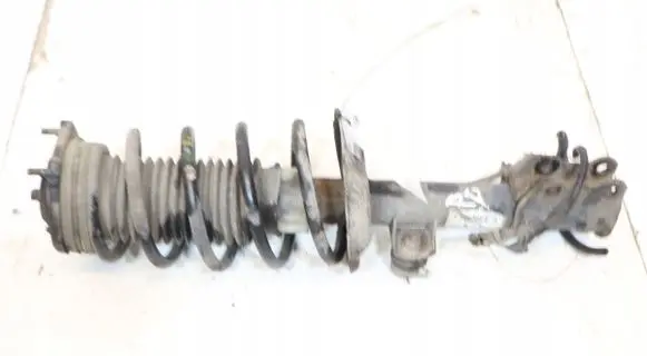 Fiat Fiorino Front shock absorber with coil spring 51858313