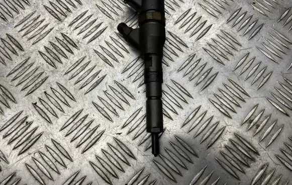 Peugeot 206 Fuel injector 9641742880