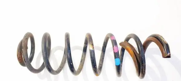 Rear coil spring