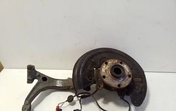Volkswagen PASSAT B5.5 Front wheel hub 