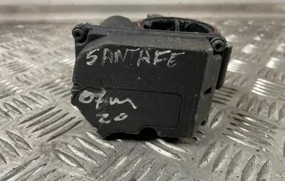 Hyundai Santa Fe Throttle valve 5WY9110D
