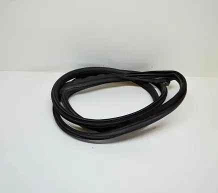 BMW 5 GT F07 Rubber seal front coupe door 7196349