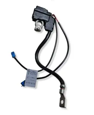 BMW 1 E81 E87 Negative earth cable (battery) 61129215952