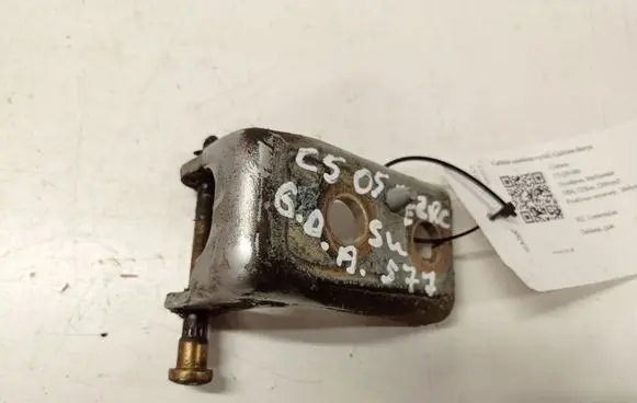 Citroen C5 Rear door lower hinge