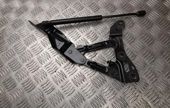 Tesla Model X Engine bonnet/hood hinges 1058041LH
