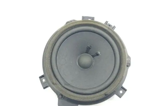 Front door speaker