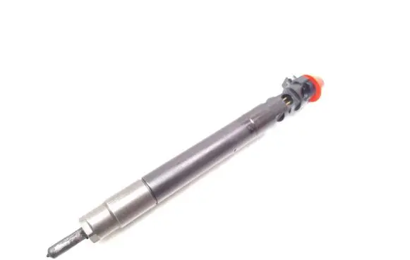 Ford Kuga II Fuel injector 9686191080 EMBR00101D