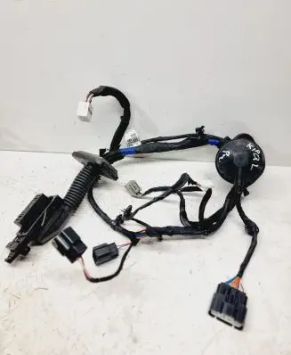 KIA Sportage Front door wiring loom 91610F1080