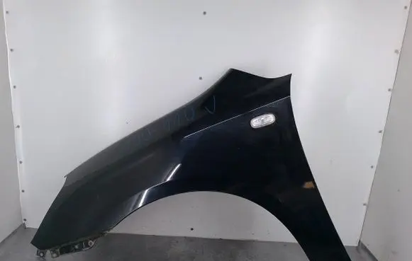 KIA Carens II Fender C07