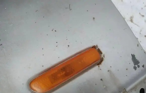 BMW 3 E46 Front fender indicator light