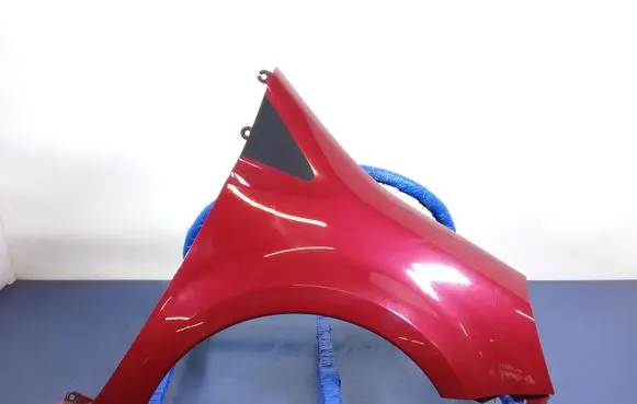 Renault Grand Modus Fender