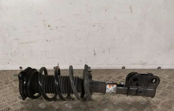 Hyundai Santa Fe Front shock absorber/damper 54651S1500