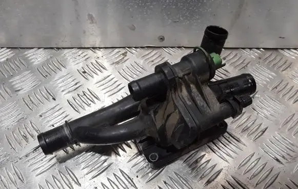Thermostat/thermostat housing