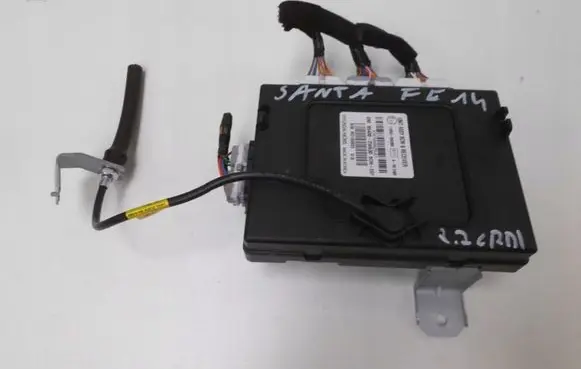 Hyundai Santa Fe Other control units/modules 954002W630