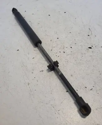 BMW 3 E46 Front bonnet/hood damper/strut 8174866
