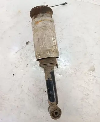 Land Rover Range Rover Sport L320 Air suspension front shock absorber 3496894 22249855
