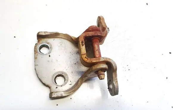 Rear door lower hinge