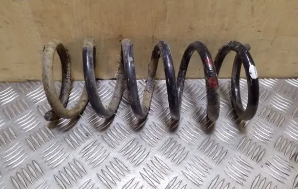 Opel Antara Rear coil spring