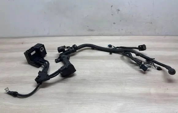 Hyundai Santa Fe Positive wiring loom 91850s1050 91975p2000
