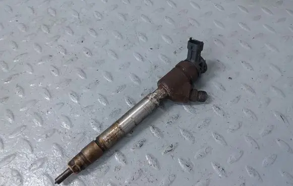 Peugeot Partner III Fuel injector 9828959880 0445110955