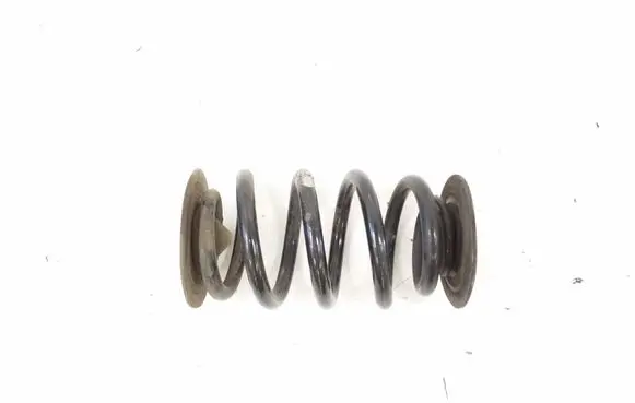 BMW X3 E83 Rear coil spring