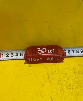 Volkswagen PASSAT B6 Rear door interior light 