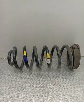Rear coil spring