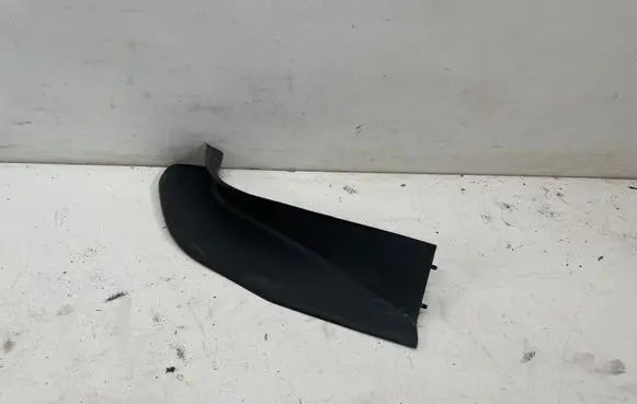 Rear/tail light trim molding
