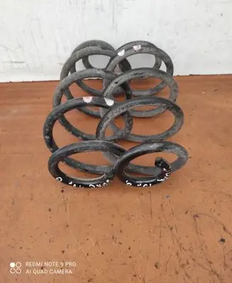 Rear coil spring