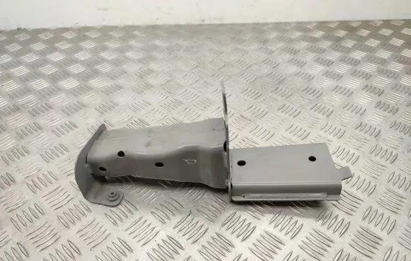 Renault Scenic IV - Grand scenic IV Front bumper support beam 604C247009 40317869