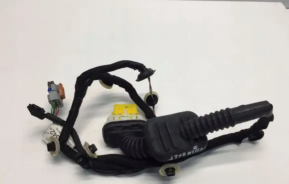 Rear door wiring loom