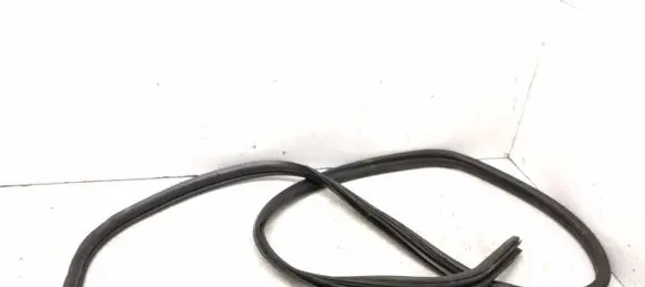 Rear door rubber seal (on body)