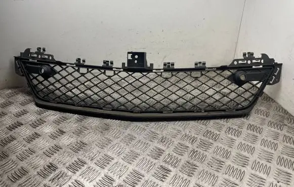Front bumper lower grill