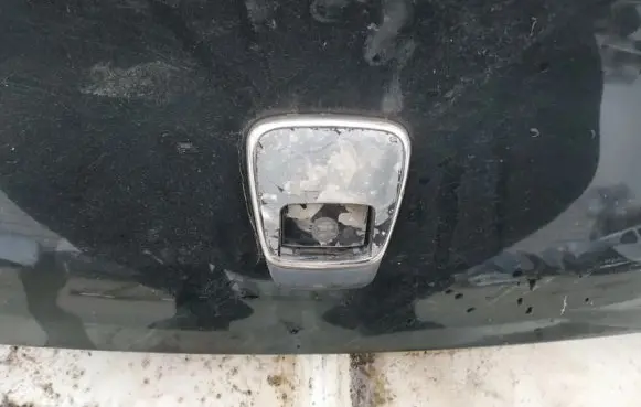 Peugeot 406 Tailgate/trunk/boot exterior handle