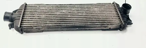 Opel Vivaro Intercooler radiator 8200219497