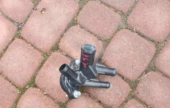 Thermostat/thermostat housing