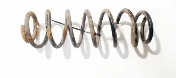 Rear coil spring